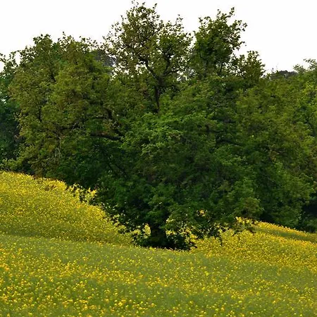 Alojamento de Acomodação e Pequeno-almoço Bed & Relax Sinestesia Precicchie