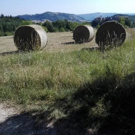 Bed & Relax Sinestesia 3*