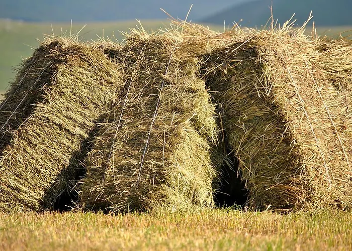 Bed & Relax Sinestesia Bed & Breakfast